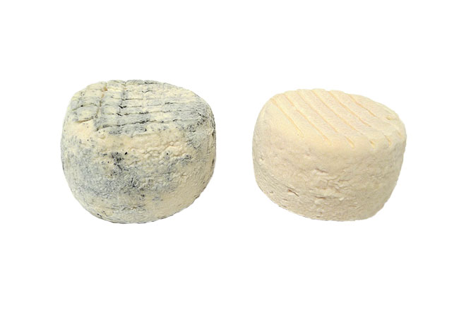 Cabris Fermier